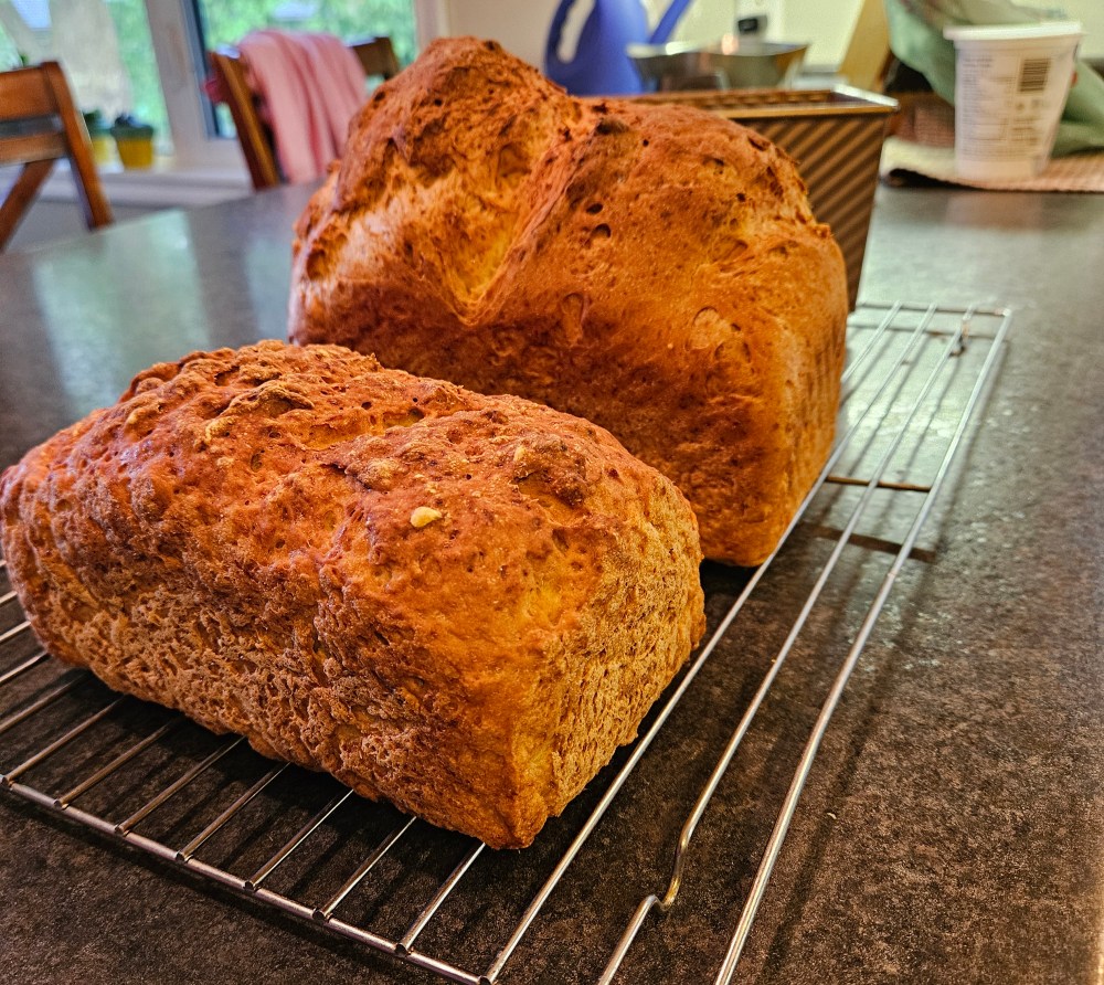 showing the difference between loafs mixed with a dough hook vs beater attachments. Smaller loaf was mixed with the dough hook.